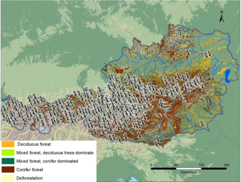 Verbreitung des Alpensalamanders in Österreich